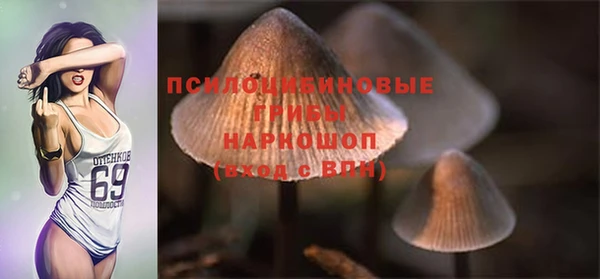 mix Мегион