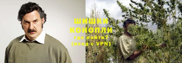 крисы Михайлов